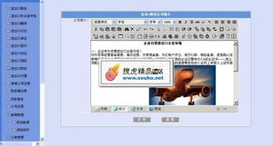 專業(yè)進(jìn)出口服務(wù)公司整站解決方案 美工大氣后臺(tái)完整，精品源碼共享